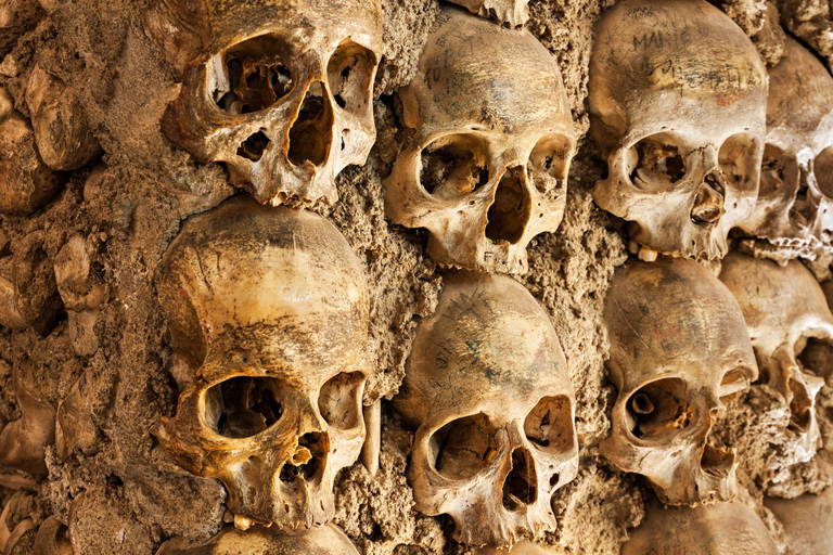 Paris: Skip-the-Line Catacombs Tour and Seine River Cruise