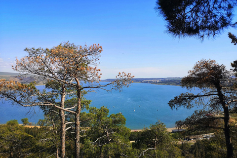 Tbilisi: City Highlights & Georgia Chronicles Guided Tour Tbilisi: City Highlights, & Chronicles of Georgia in 3 Hours