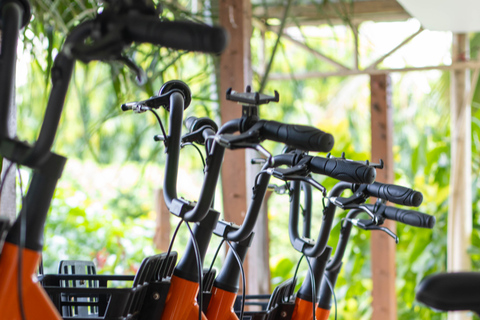 Paje: Full-Day Bike Rental with Helmet and Lock