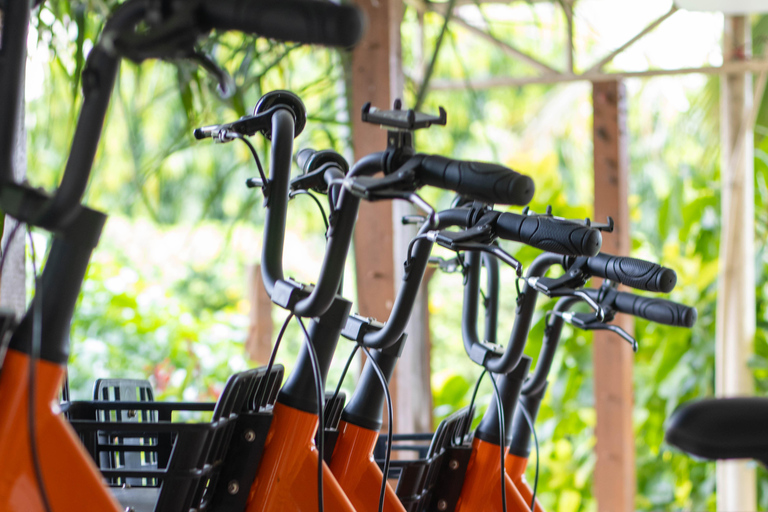 Paje: Full-Day Bike Rental with Helmet and Lock