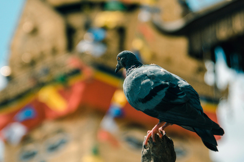 سوايامبوناث: جولة غروب الشمس وأضواء المدينةخاص