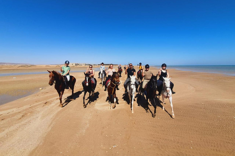 الغردقة: جولة ركوب الخيل في الصحراء والبحر مع خيار السباحةجولة لمدة ساعتين لركوب الخيل بدون السباح