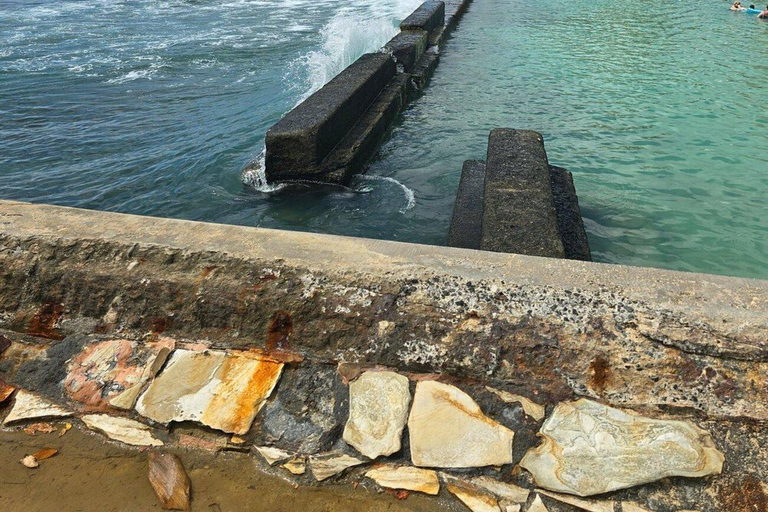 Pearl Harbor: Excursión de un día