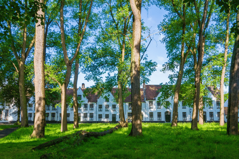 België: Treinexcursie van Brussel naar Brugge