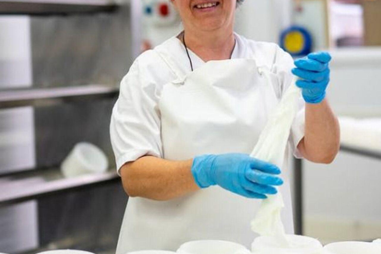 Rota: Cheese Factory Tour with Tasting and Wine