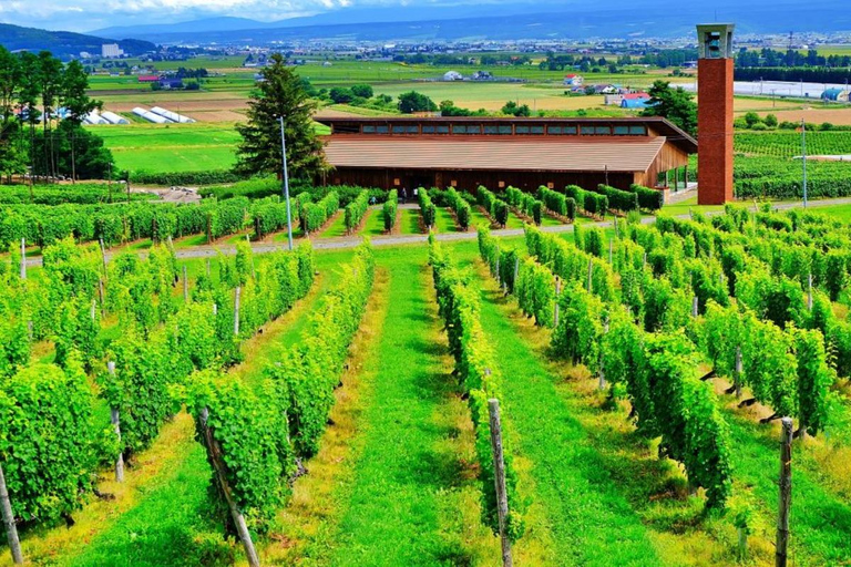 From Sapporo: Blue Pond, Farm Tomita, & Shikisai-no-Oka Tour