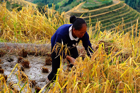 Guilin: Longji Rice Terraces & Bamboo Rice Cooking Day Tour