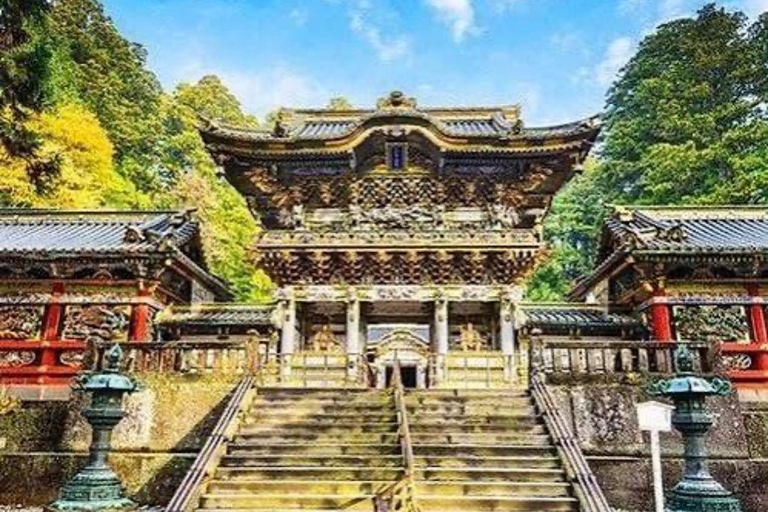 Tokyo: Guided City Tour with English guide