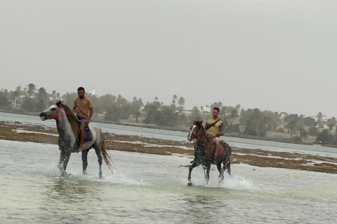 Djerba: Individual Horse Riding in the Blue Lagoon.