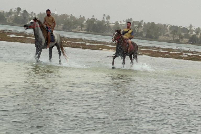 Djerba: Individual Horse Riding in the Blue Lagoon.