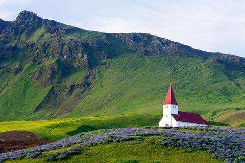 Från Reykjavik: Heldagsutflykt till södra IslandTur med mötesplats vid busshållplats 12