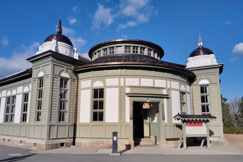 Aichi: Meiji Village & Japan’s Modernization Journey 5h Immersive option