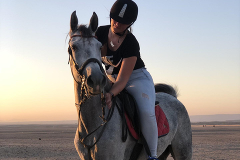 Hurghada: Abenteuerausflug mit Pferden durch die Wüste und zum StrandPrivater Ausritt in Hurghada: Wüste &amp; Strand