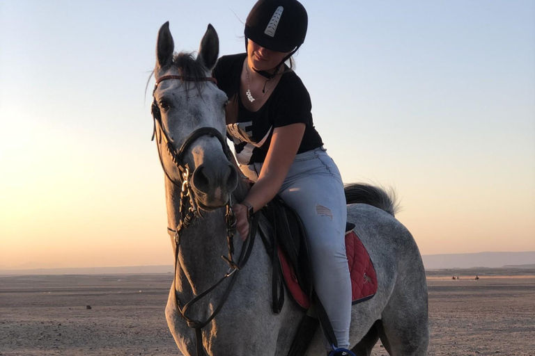 Hurghada: Abenteuerausflug mit Pferden durch die Wüste und zum StrandPrivater Ausritt in Hurghada: Wüste &amp; Strand