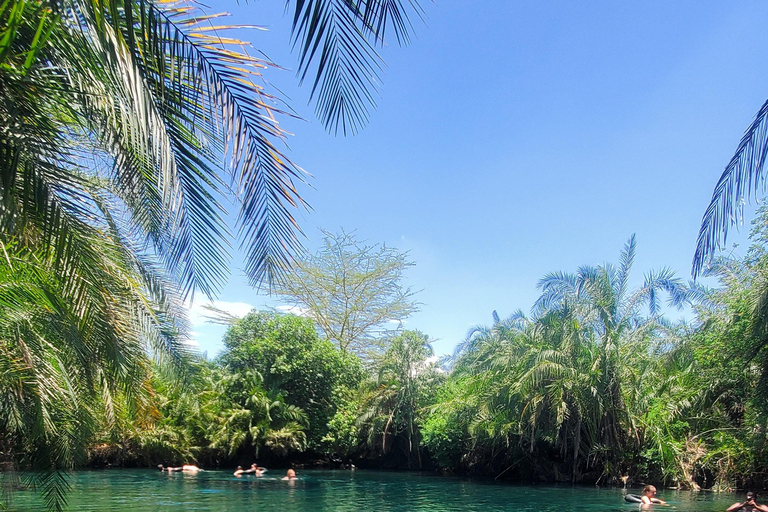 Wonderful Materuni waterfalls and Chemka hotspring Day trip