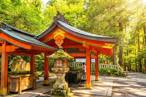 Tokyo: Mt Fuji & Hakone Ropeway, Lake Ashi Cruise,Owakudani Excludes Pirate Ship | Tokyo 7:30AM