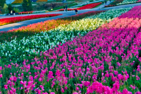 Sapporo: Private Customizable 10-Hour Car Tour
