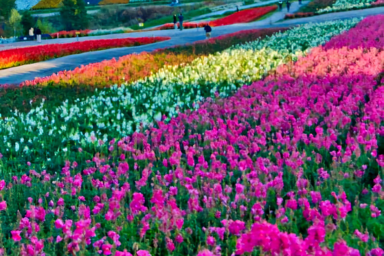 Sapporo: Private Customizable 10-Hour Car Tour