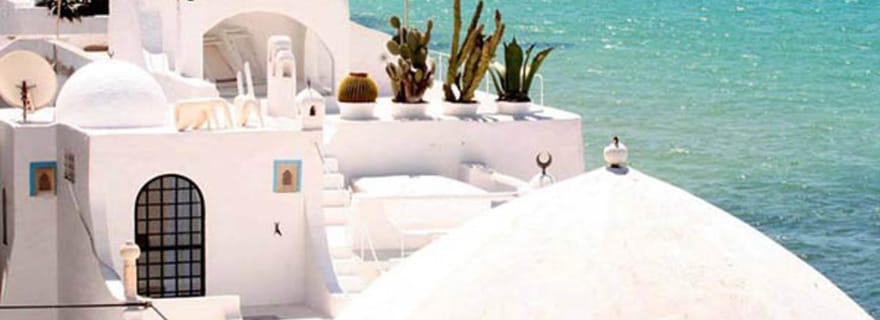 Mahdia : Excursion à Hammamet & Carthage Land – Journée Fun et Découverte