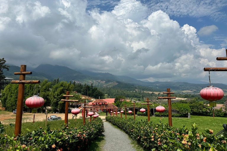 Chiang Mai: excursión privada de un día a Pai con guía