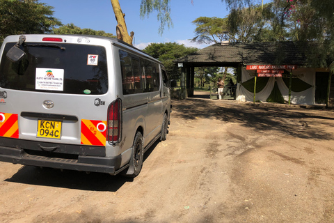 De Nairobi: Viagem de 1 dia ao Parque Nacional do Lago Nakuru