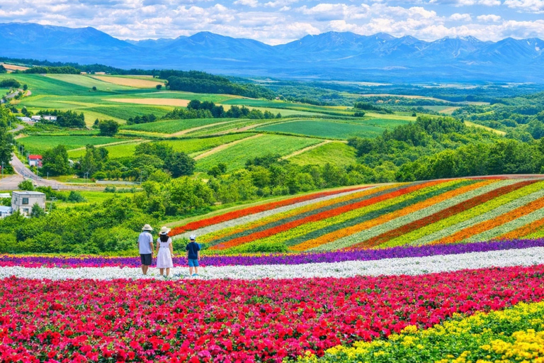 Summer Hokkaido: Furano lavender, Blue Pond,Shikisai-no-Oka 7:50 am meet at Odori Park subway station exit 31