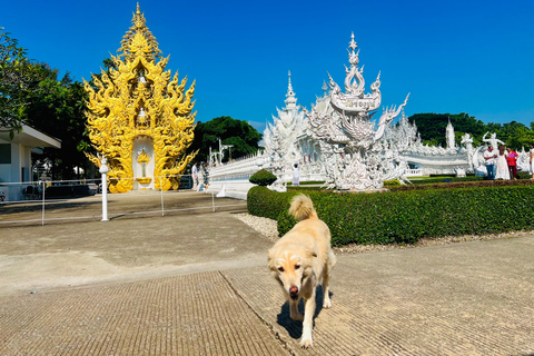 Chiang Rai: 7 Must-See Spots Tickets & Lunch Included Chiang Rai: 7 Must-See Spots Tour with Tickets and Lunch
