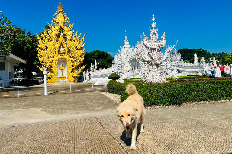 Chiang Rai: 7 Must-See Spots Tickets & Lunch Included Chiang Rai: 7 Must-See Spots Tour with Tickets and Lunch