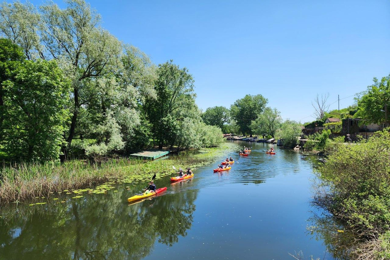 Lake Skadar unique day-long kayaking tour from Budva