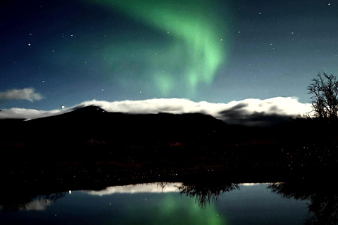 Abisko: Northern Lights Hike with Husky Puppies
