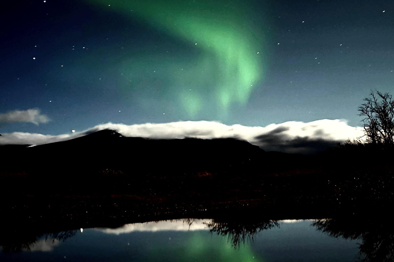 Abisko: Northern Lights Hike with Husky Puppies