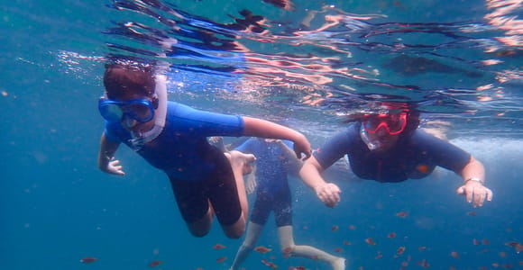 Sydney: Snorkeling Tour for Kids with Private Guide