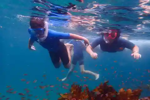 Sydney: Excursión de snorkel para niños con guía privado
