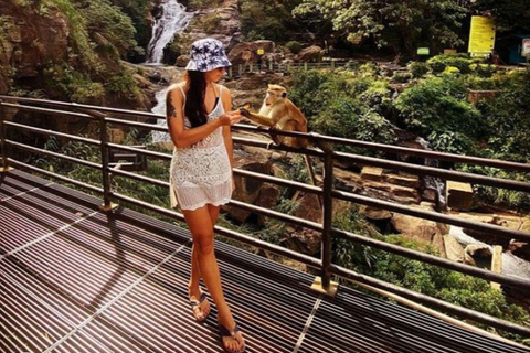 Ella: Ella Day Tour NineArch Bridge with Expert Female Guide Ella tour from Colombo, Negombo, Mt lavinia, Kalutara