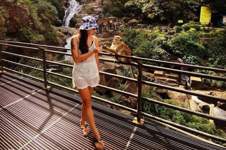 Ella: Ella Day Tour NineArch Bridge with Expert Female Guide Ella tour from Colombo, Negombo, Mt lavinia, Kalutara