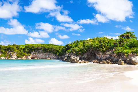 Excursión Safari desde Punta Cana