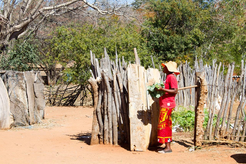 Visites de villages