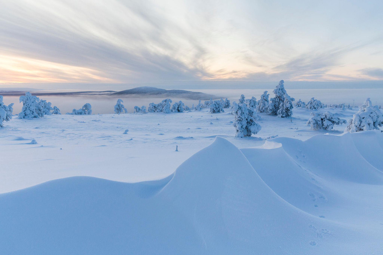 Winter Snowshoeing in the Finnish Wilderness