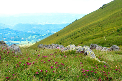 11 天保加利亚、塞尔维亚和北马其顿水疗和文化之旅11天保加利亚、塞尔维亚和北马其顿水疗和文化之旅