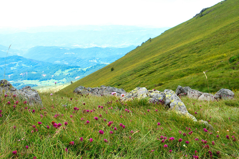 11 天保加利亚、塞尔维亚和北马其顿水疗和文化之旅11天保加利亚、塞尔维亚和北马其顿水疗和文化之旅