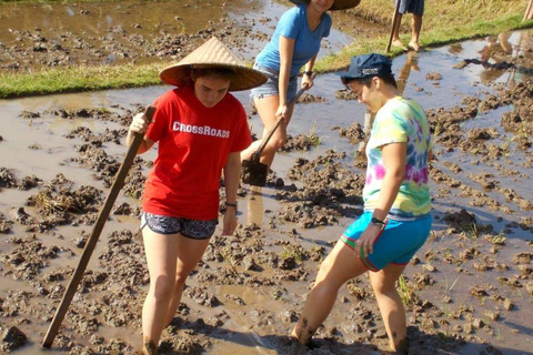 Yogyakarta: Bike Tour, Pottery, Ricefield, Museum With Lunch Bike, Pottery Class, Rice fields, Museum (No Lunch)