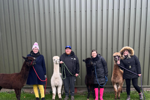 Loch Ness: Full day private tour with Alpaca Adventure