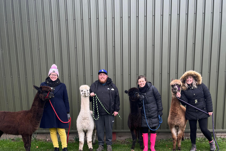 Loch Ness: Full day private tour with Alpaca Adventure