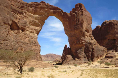 AlUla: Full-Day 4x4 Tour with Scenic Stops