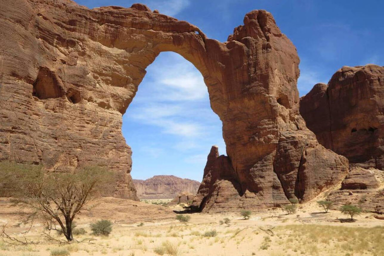 AlUla: Full-Day 4x4 Tour with Scenic Stops