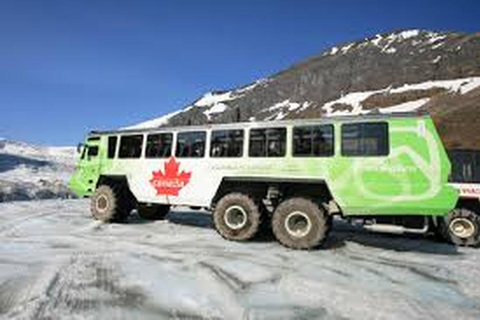 Banff : Columbia Icefield Adventure with Top Five lakes Tour