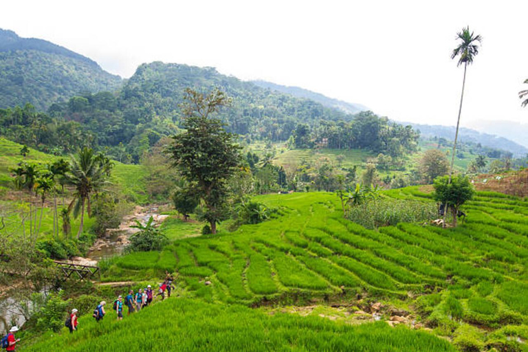 Kandy: Heeloya Village Tour with Lunch and Guide