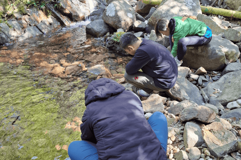 Hongkong: Guidad upplevelse av skogsterapi