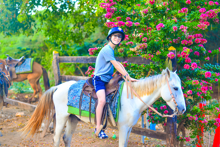 Horseback Riding at Macao Beach and River with Transfers