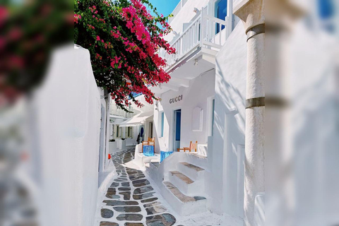 Private Tour: Customize Your Perfect Day in Mykonos